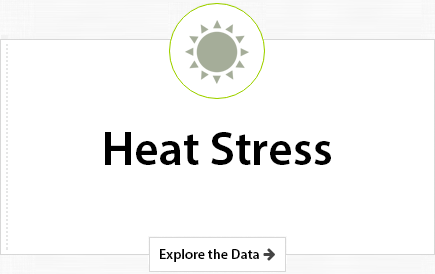 Heat Stress